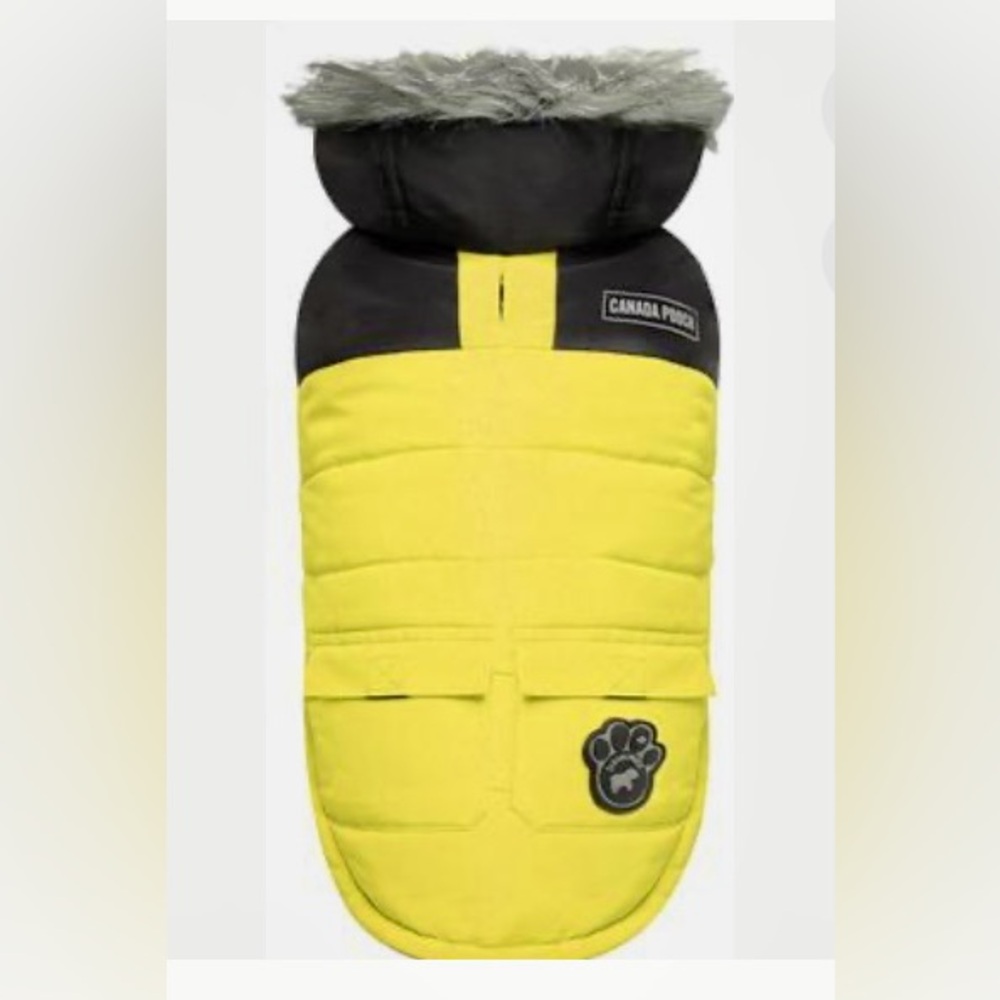 Canada Pooch Winter Jacket
